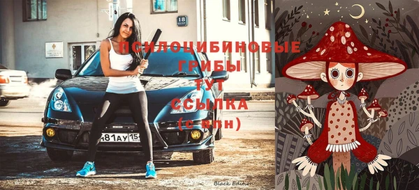 гидропоника Алексеевка