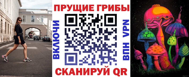 Галлюциногенные грибы Cubensis купить наркоту Анива